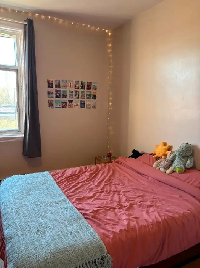 Large room in Mile End Image# 1