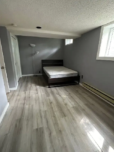 Spacious, Renovated Room - Brentwood (Available Nov 1) Image# 1