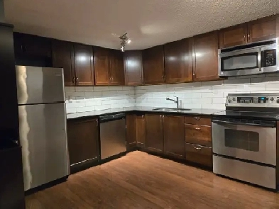 One Bedroom Condo for Rent in Sunalta Image# 1