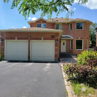 Beautiful entire 5 Bedroom House with Double Garage and Backyard Image# 1