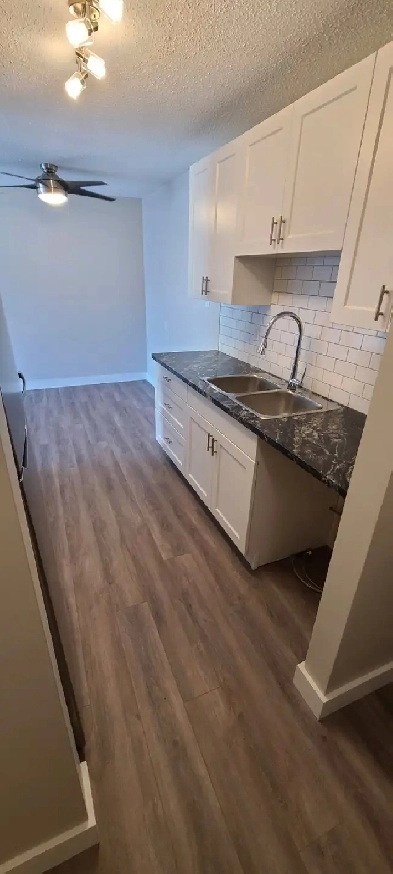 1 BEDROOM APARTMENT- QUIET BUILDING - PET FRIENDLY Image# 6