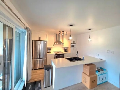 4 1/2 à louer à St-Paul au RDC avec garage Image# 7