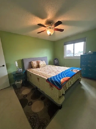 Spacious Private Room Image# 1