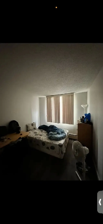 Private room in Core downtown near peace bridge Image# 1