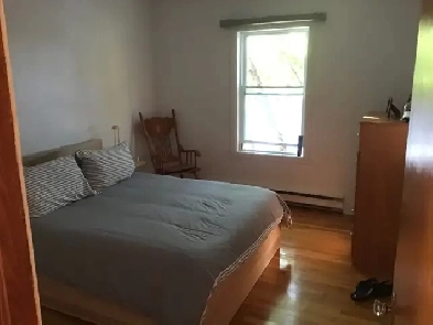 Grand 4 1/1 à louer a Ahuntsic Image# 1