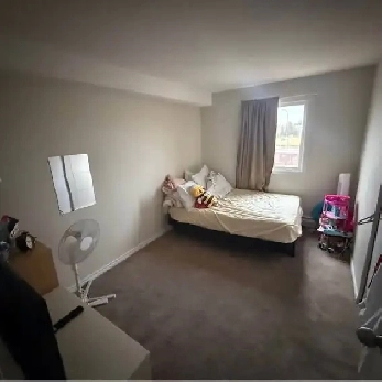 room for rent near south gate mall edmonton Image# 1