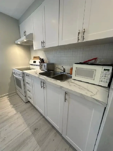 ONE BEDROOM APARTMENT IN WESTBORO QUIET NEIGHBOURHOOD   PAKRING Image# 1