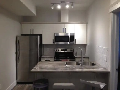 1 bedroom legal basement suite available for rent Nov 1 Image# 3