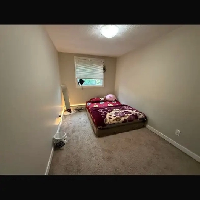 Room Available for Girls Only Image# 1