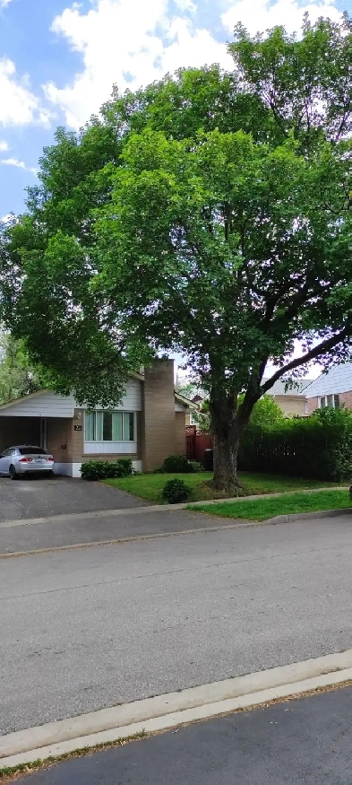 house for rent in Etobicoke Image# 1