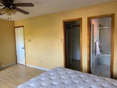 room for rent Image# 1