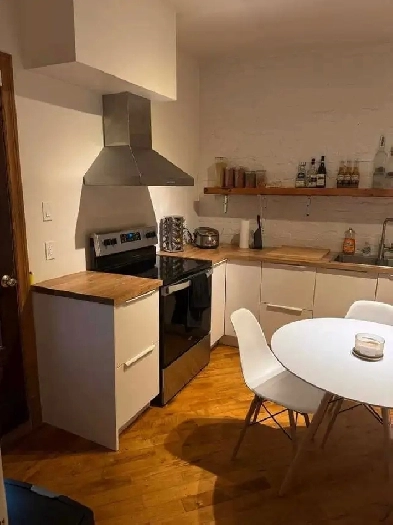 jolie appartement 2 chambres , 1 salle de bain Image# 1