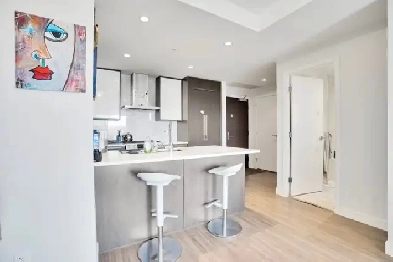 Furnished Luxurious and Modern Executive Downtown Apartment Image# 1