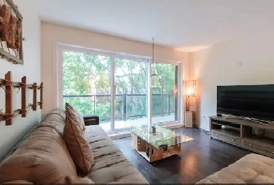 Appartement non meublé à louer – 1 chambre   bureau – M. Beaudry Image# 1