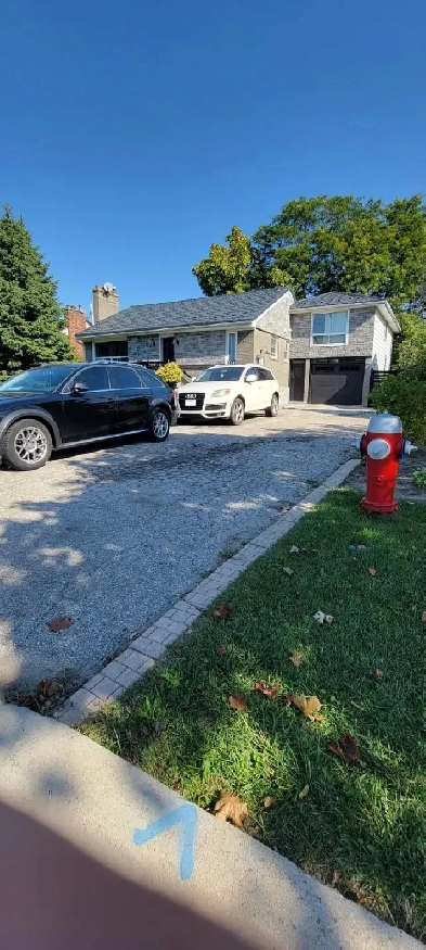 SQ1 - LIVE and do BUSINESS in basement in HEART of Mississauga Image# 1