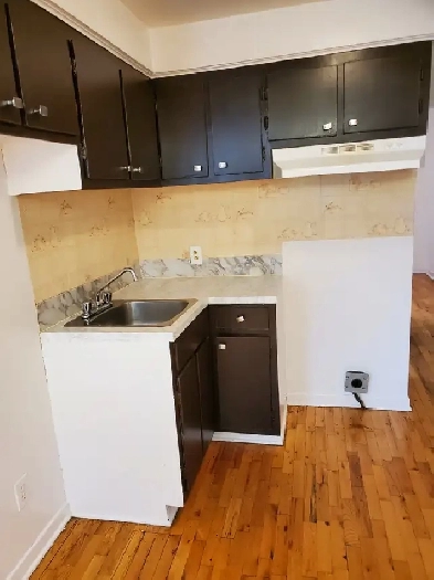 3 1/2   Den Apartment For Rent Image# 1