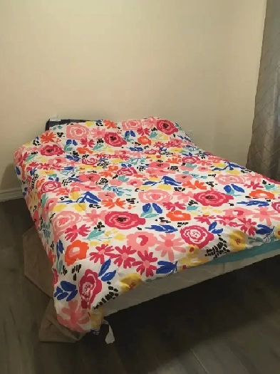 Room For rent in Richmond Hill & Vaughan & Northyork Image# 1