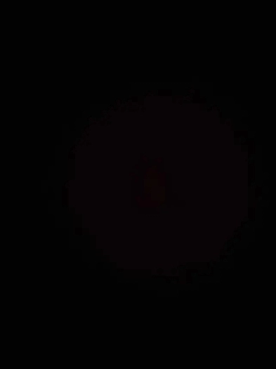 Grandes chambres à louer près de l'Hôpital Maisonneuve-Rosemont Image# 1