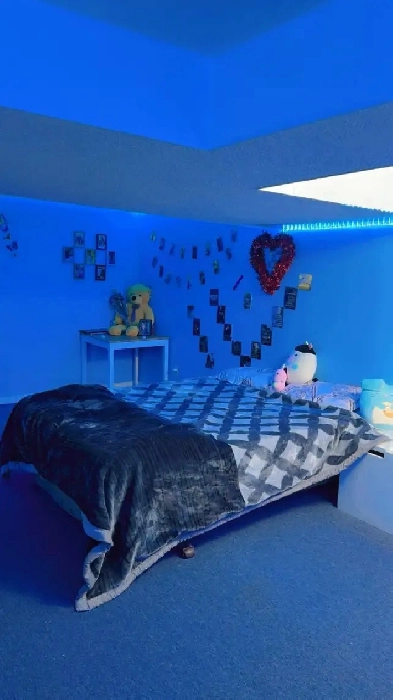 Huge, fully furnished bedroom in basement for two girls. Malton Image# 1