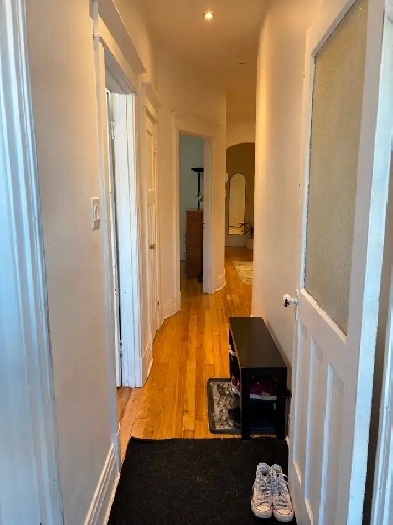 Beautiful 5 1/2  à louer / for rent  on Saint-Denis Villeray Image# 1