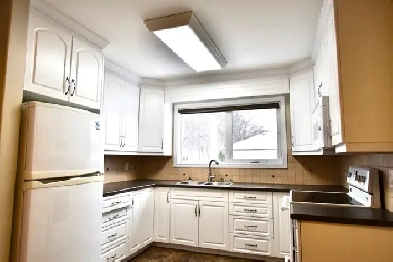 CHARMING AND SPACIOUS 2 BR   OFFICE SPACE, 1.5BH IN N. KILDONAN Image# 1