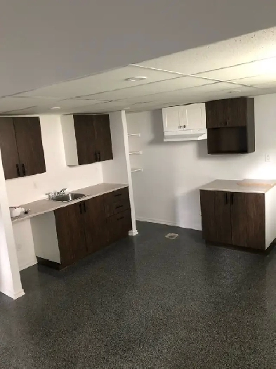 4 1/2,fraichement rénové ! Image# 1