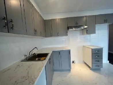 GRAND 4 1/2 À LOUER LONGUEUIL 1 NOVEMBRE Image# 1