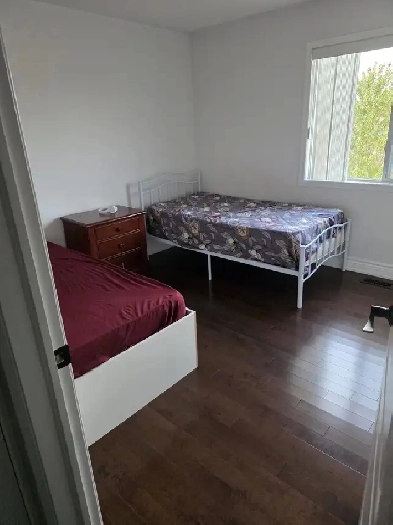 private room for rent Image# 1