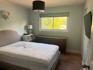 Furnished room for rent in central Newmarket Image# 1