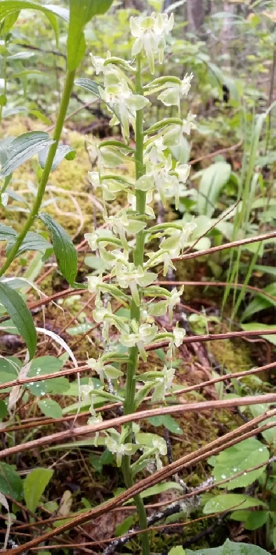 Unique Room Rental Image# 1