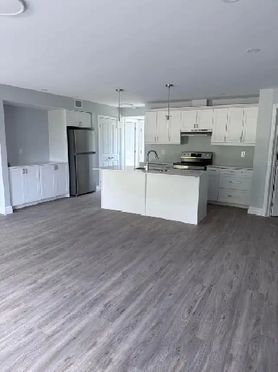 Beautiful New 2 bedroom apartments for rent Image# 1