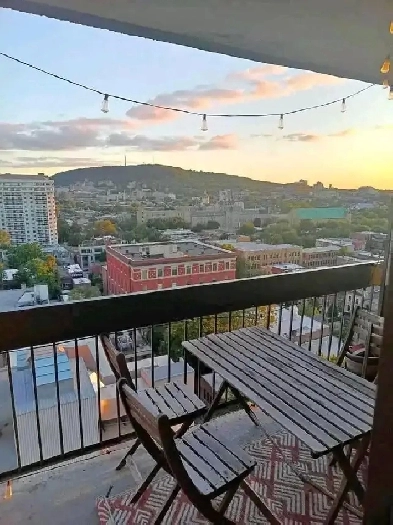 Cession de Bail- Immédiat 3 1/2. Parc Lafontaine - Pet friendly Image# 1