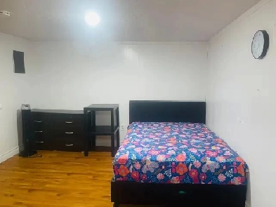 Bright & Cozy Studio Basement Apartment – Kingston Rd & McCowan Image# 1