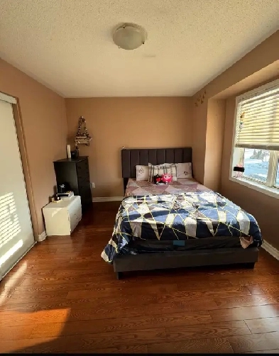 Room for rent Image# 1