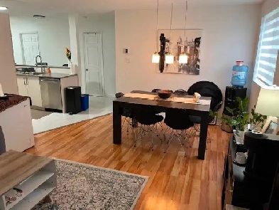 4 1/2 fully renovated Laval Image# 1