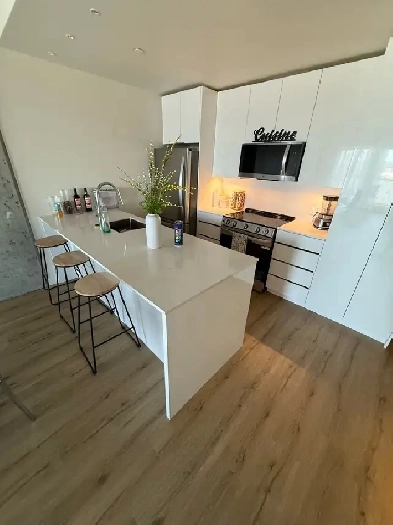 3/1 a louer a Liénard Condo locatif(un bail a céder) Image# 1