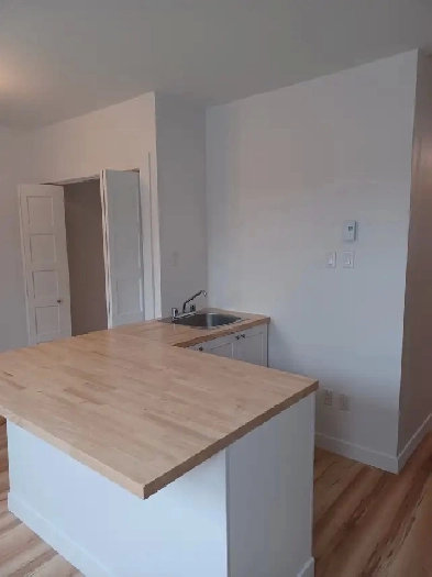 A louer Grand 3 1/2 entièrement rénové a Lemoyne (Quadruplex) Image# 1