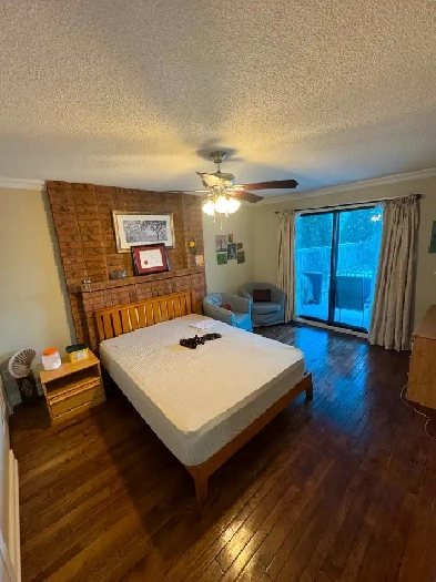 Room for Rent Image# 1