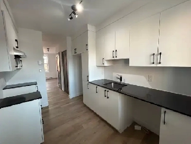 Magnifique 3 1/2, RÉNOVÉ Centre-Ville St-Rock libre Image# 1