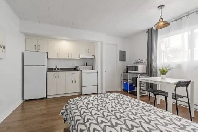 Superbe studio 1 1/2, Meublé, Ave. Ducharme, Libre Image# 1