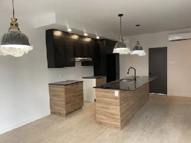 Superbe 4 1/2, rue Hermine Construction neuve, Libre Image# 1