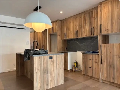 Magnifique grand 4 1/2 sur 2 étage RÉNOVÉ Libre Image# 1