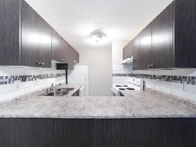 Newly Renovated 2 Bedroom Apt - Oct FREE & Nov/Dec 1/2 RENT!! Image# 1