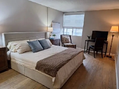 Fully furnished and beautiful 2 bedroom condo Image# 1