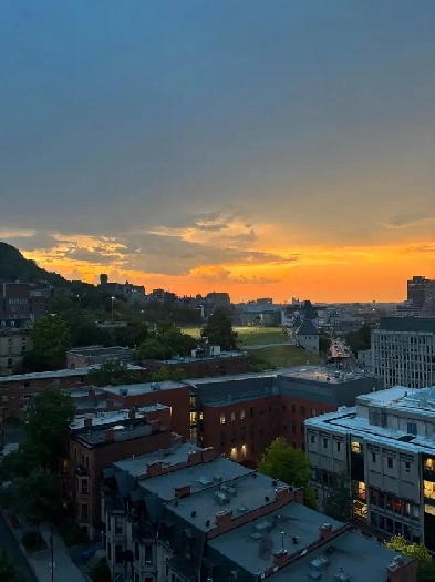 lease transfer Image# 1