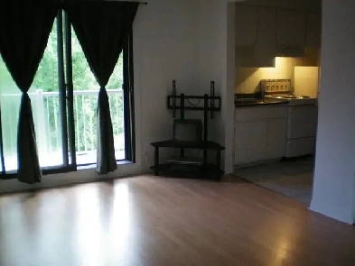 Sainte Foy, un et demi (studio à louer pour le 1er novembre Image# 1