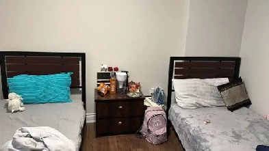 Shared rom for rent Image# 1