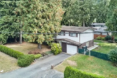 Prime Brookswood Opportunity — Huge Lot, Endless Potential! Image# 8