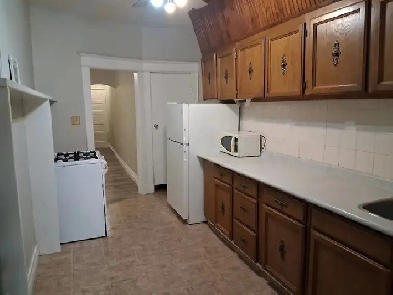 2 Bedrooms DOWNTOWN apartment, Spacious & Furnished! Image# 1