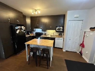 Appartement 1 chambre et 1 salle de bain Image# 1